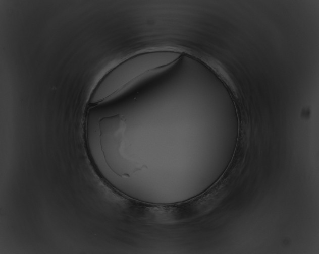 X0000091860805200710031039