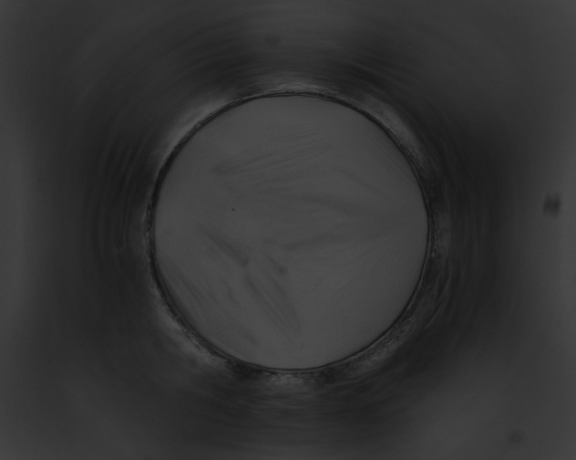 X0000091860806200710031039