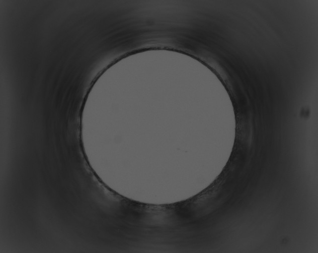 X0000091860807200710031039