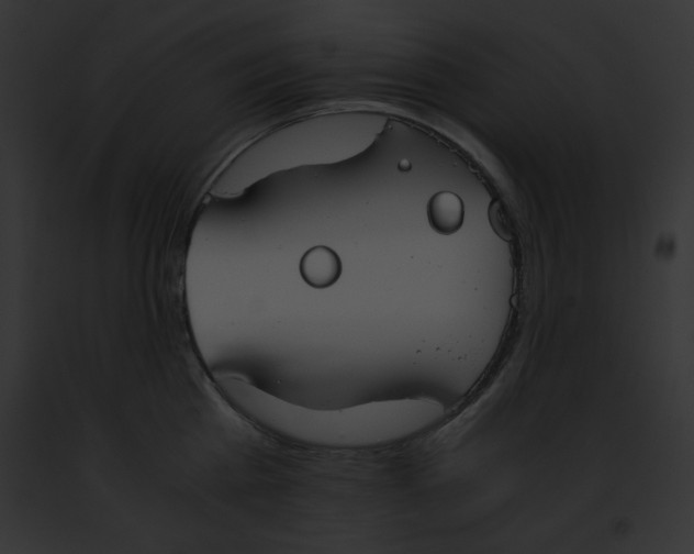 X0000091860809200710031039