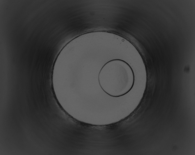 X0000091860810200710031039