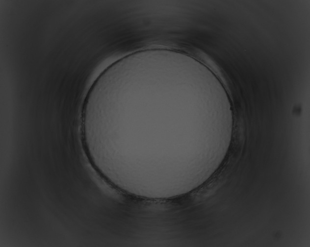 X0000091860811200710031039