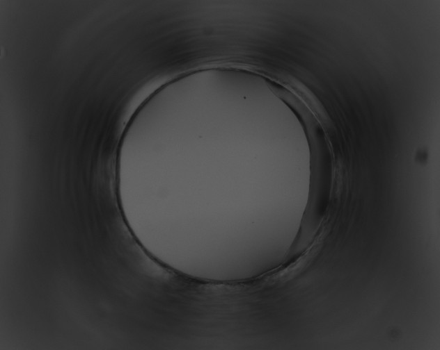 X0000091860812200710031039