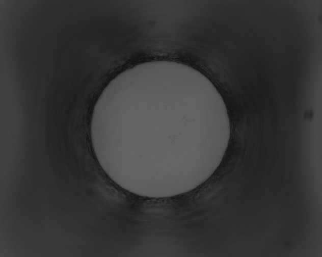 X0000091860817200710031038