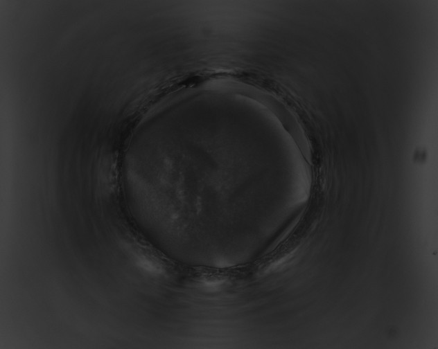 X0000091860818200710031038