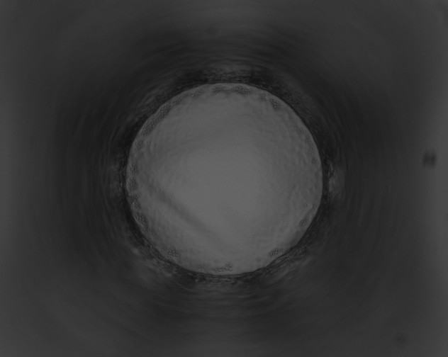 X0000091860819200710031038