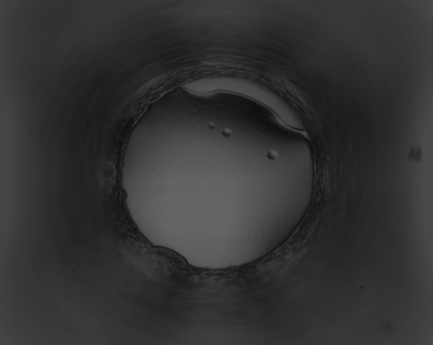 X0000091860821200710031038