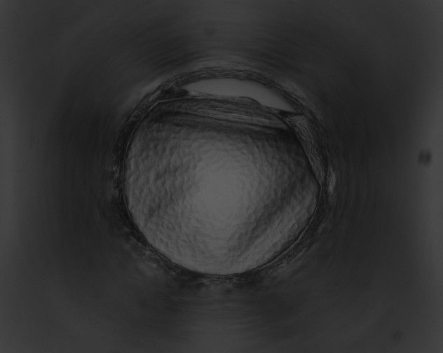 X0000091860822200710031038