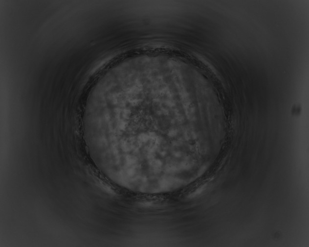 X0000091860823200710031038