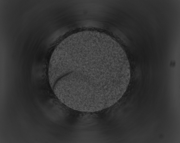 X0000091860824200710031038