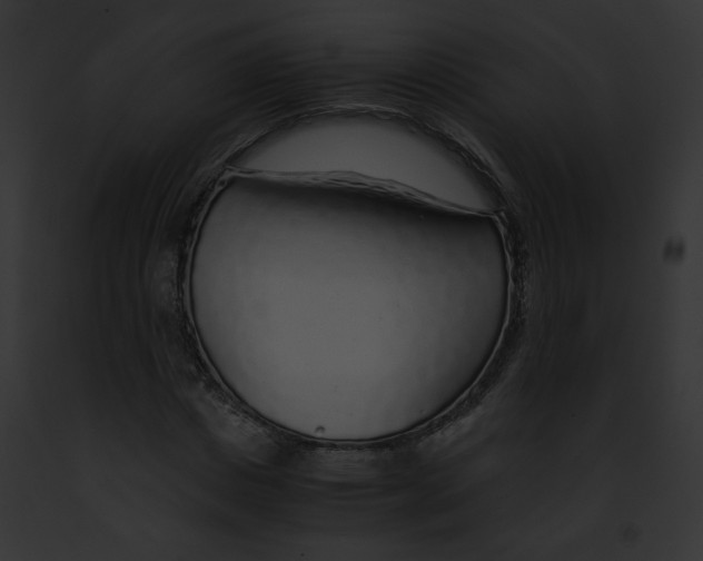 X0000091860825200710031038