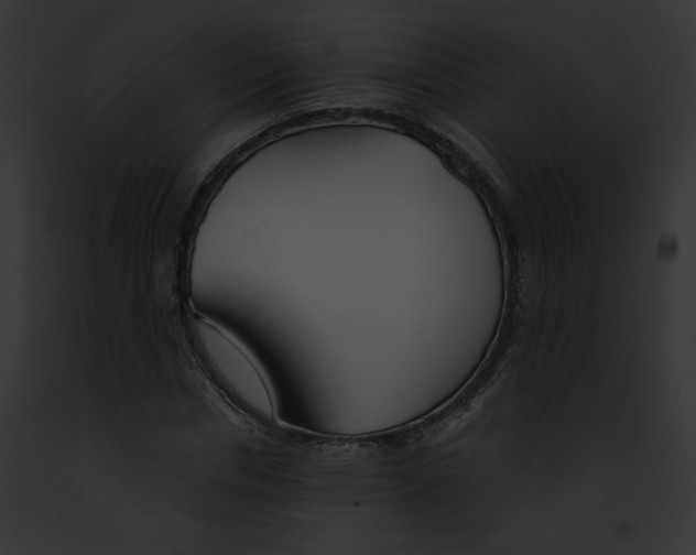 X0000091860826200710031038