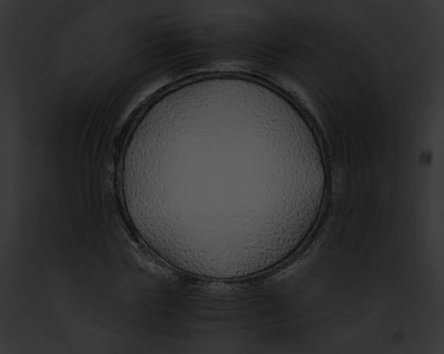 X0000091860827200710031038