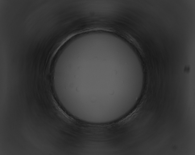 X0000091860828200710031038