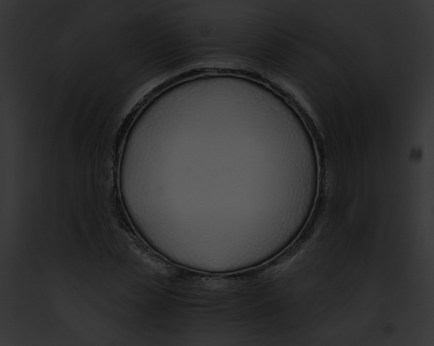 X0000091860829200710031038