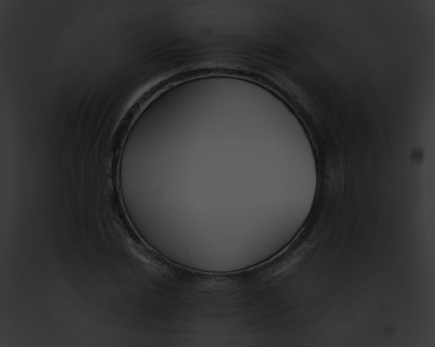 X0000091860830200710031038