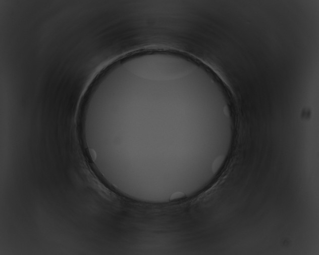 X0000091860832200710031038