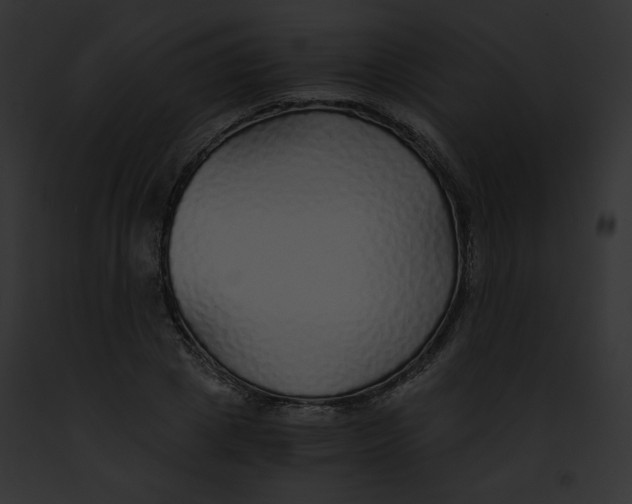 X0000091860833200710031038