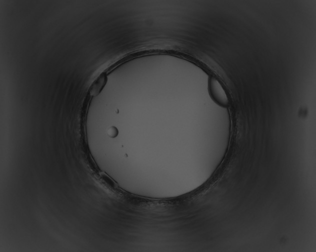 X0000091860834200710031039