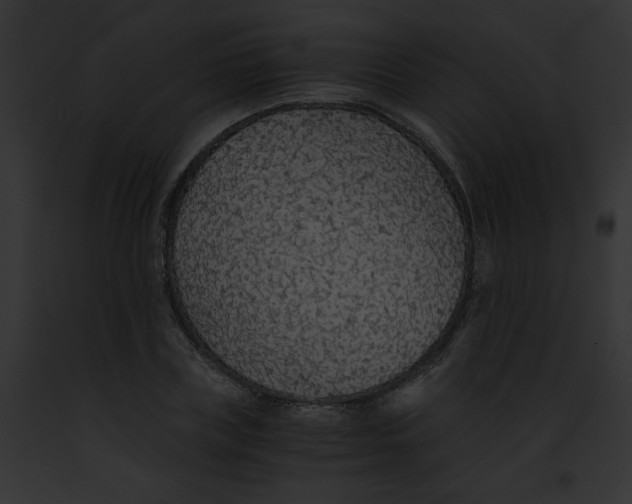 X0000091860835200710031039