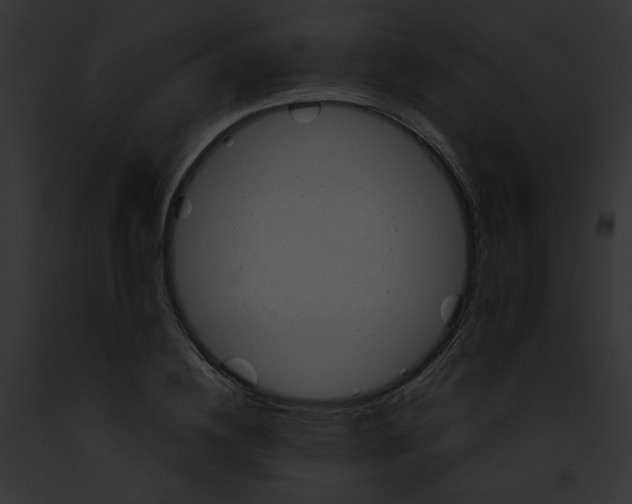 X0000091860836200710031039