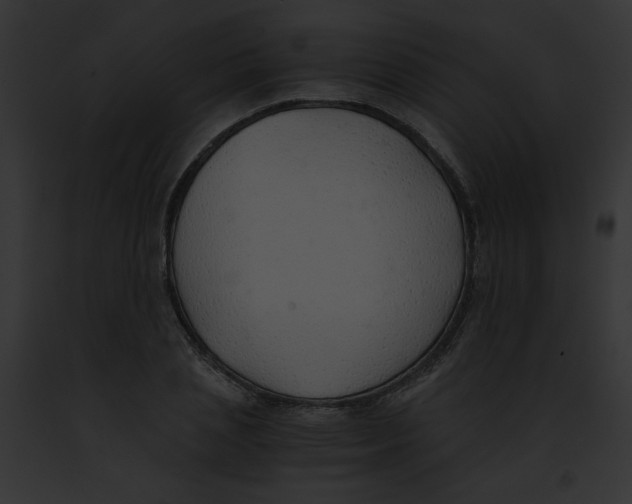 X0000091860837200710031039