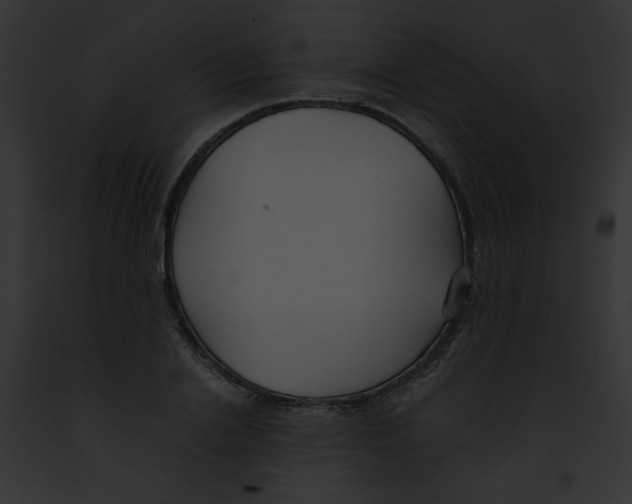 X0000091860838200710031039