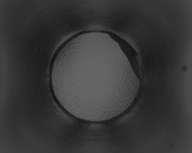 X0000091860839200710031039