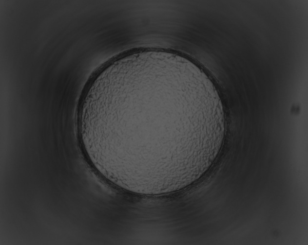 X0000091860840200710031039