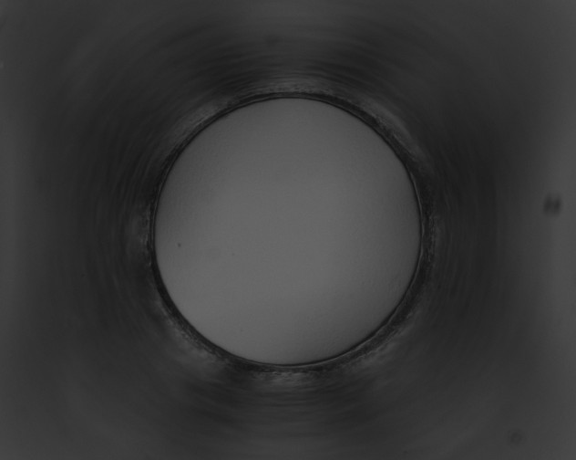 X0000091860841200710031039