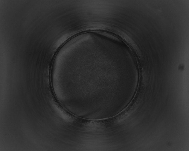 X0000091860842200710031039