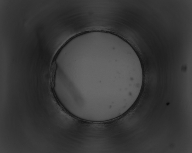 X0000091860844200710031039