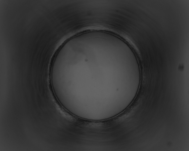 X0000091860845200710031039