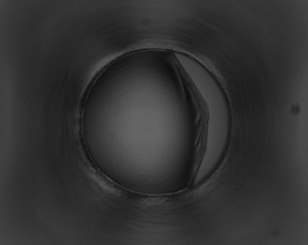 X0000091860846200710031039