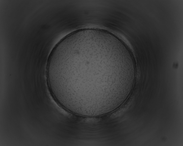 X0000091860847200710031039