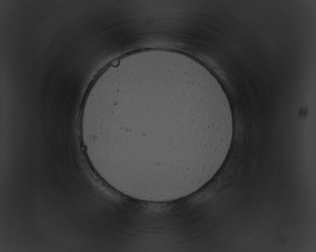 X0000091860848200710031039