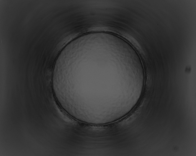 X0000091860849200710031039