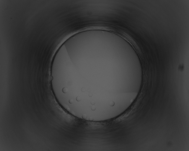 X0000091860852200710031039