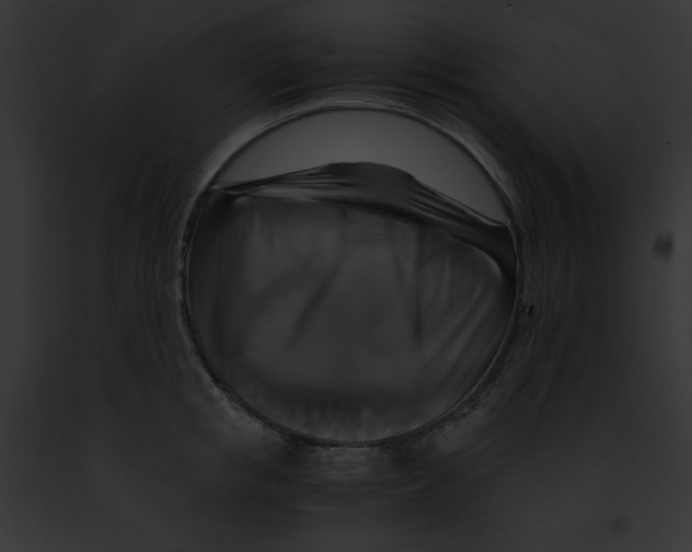 X0000091860853200710031039