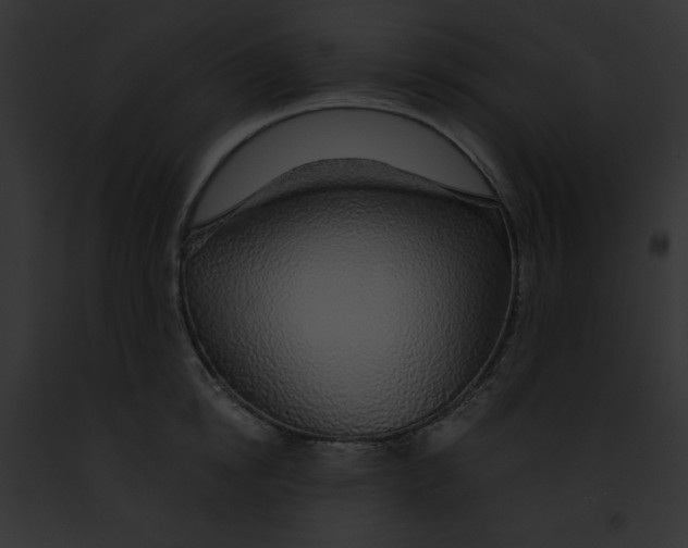 X0000091860854200710031039