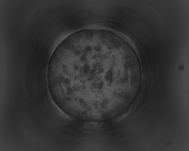 X0000091860855200710031039