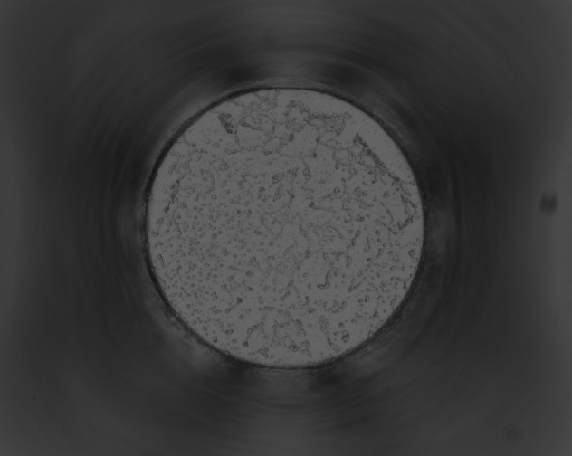 X0000091860856200710031039