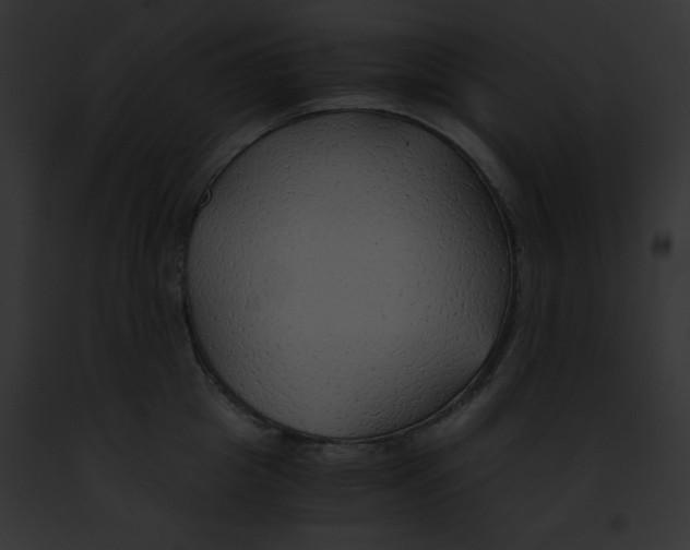 X0000091860857200710031039