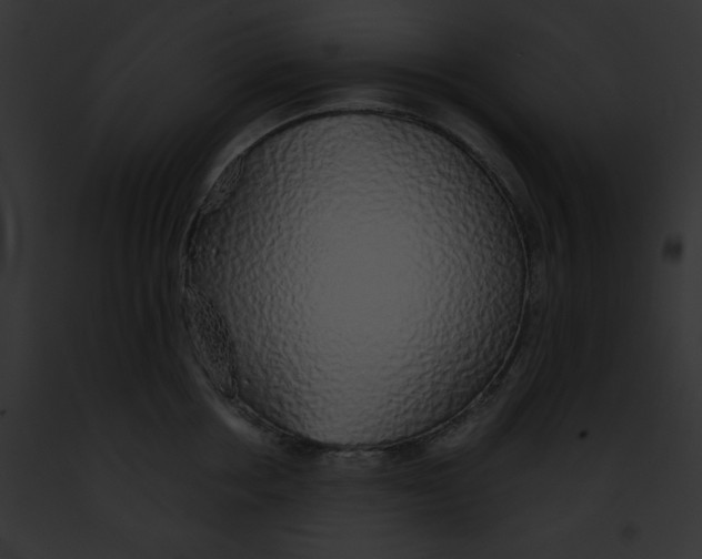 X0000091860858200710031039