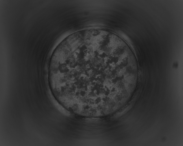 X0000091860859200710031039