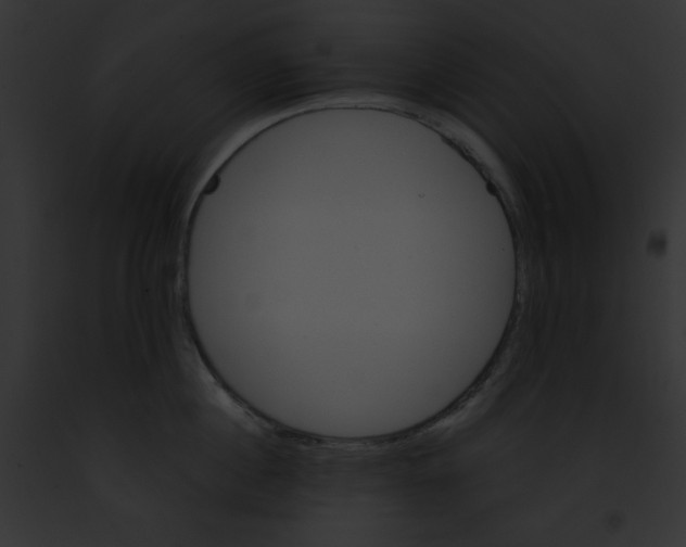 X0000091860860200710031039