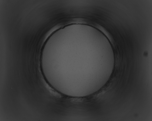 X0000091860861200710031039