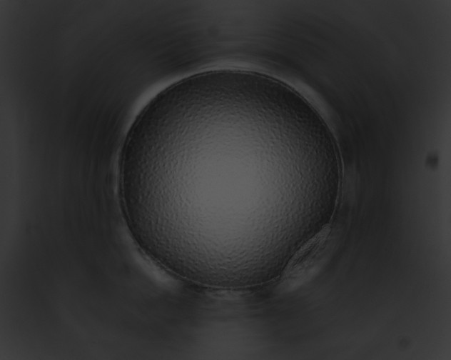 X0000091860862200710031039