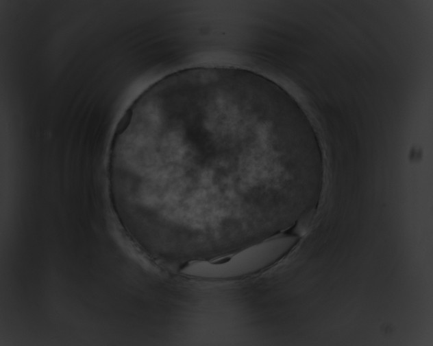 X0000091860864200710031039