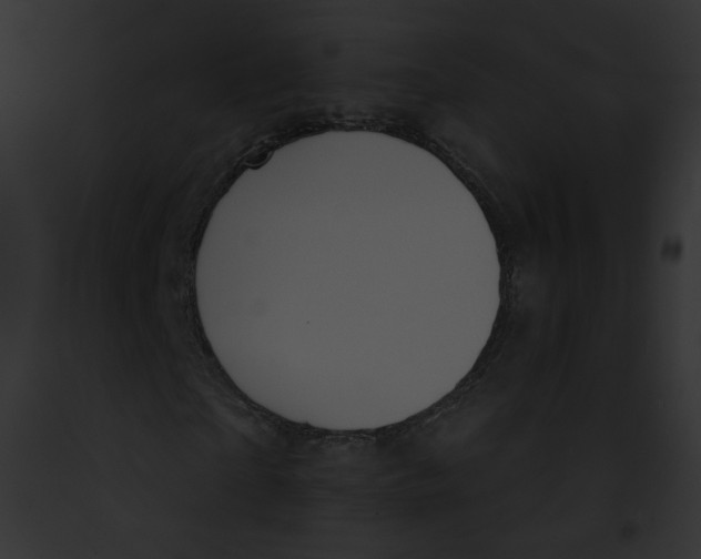 X0000091860865200710031038